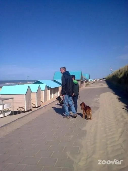 Sea The Sea - Feel The Sea - Touch The Sea Appartement Bredene
